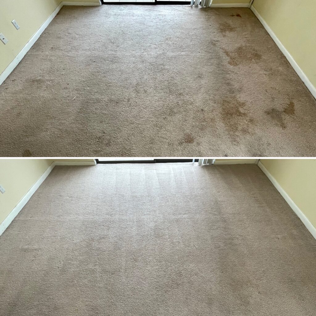 Carpet Cleaning Services in Pembroke pines