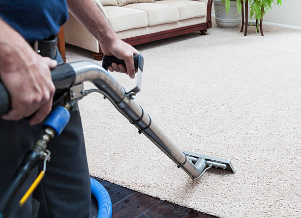 Carpet cleaning services